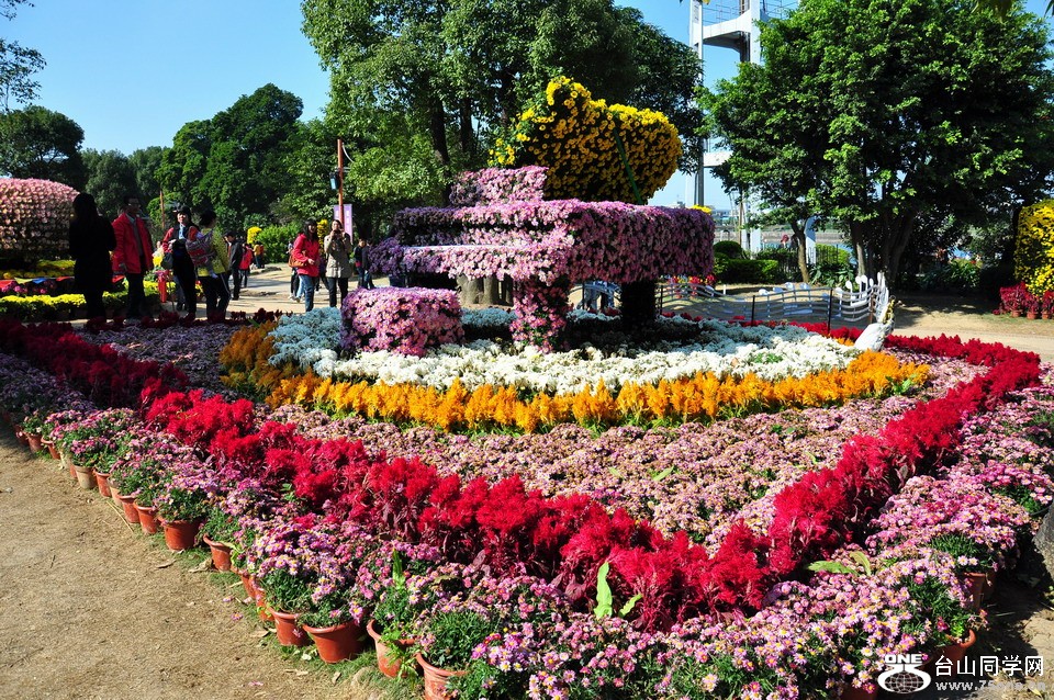 DSC_1621aa.jpg