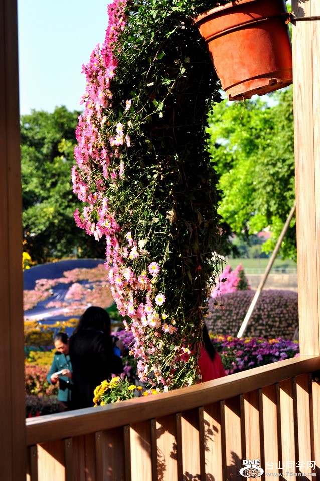 DSC_1839aa.jpg