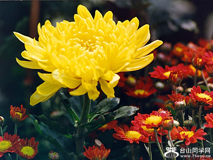 scan0074.jpg