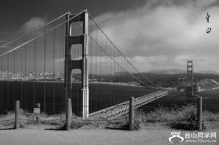 82_3561_c6eaa68b505e01c[1].jpg