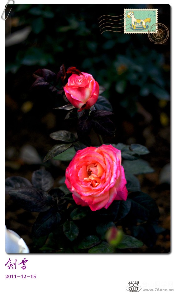 DSC_0148_.jpg