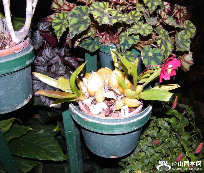DSCF9351.JPG