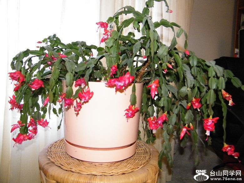 DSCF9849.JPG