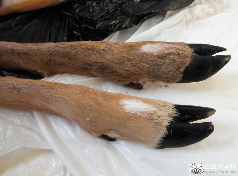 DSCF9752.JPG