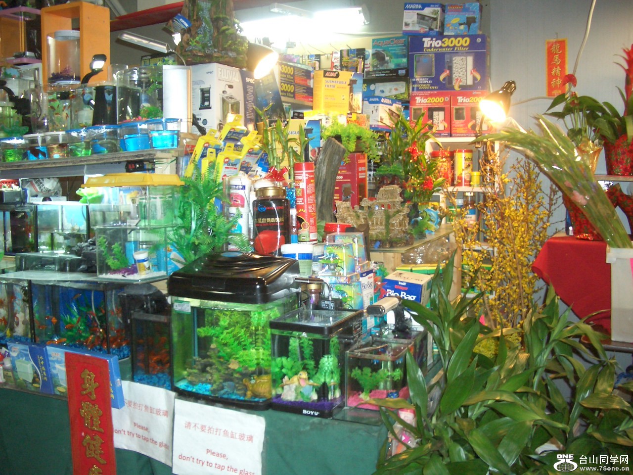 CIMG5456.JPG