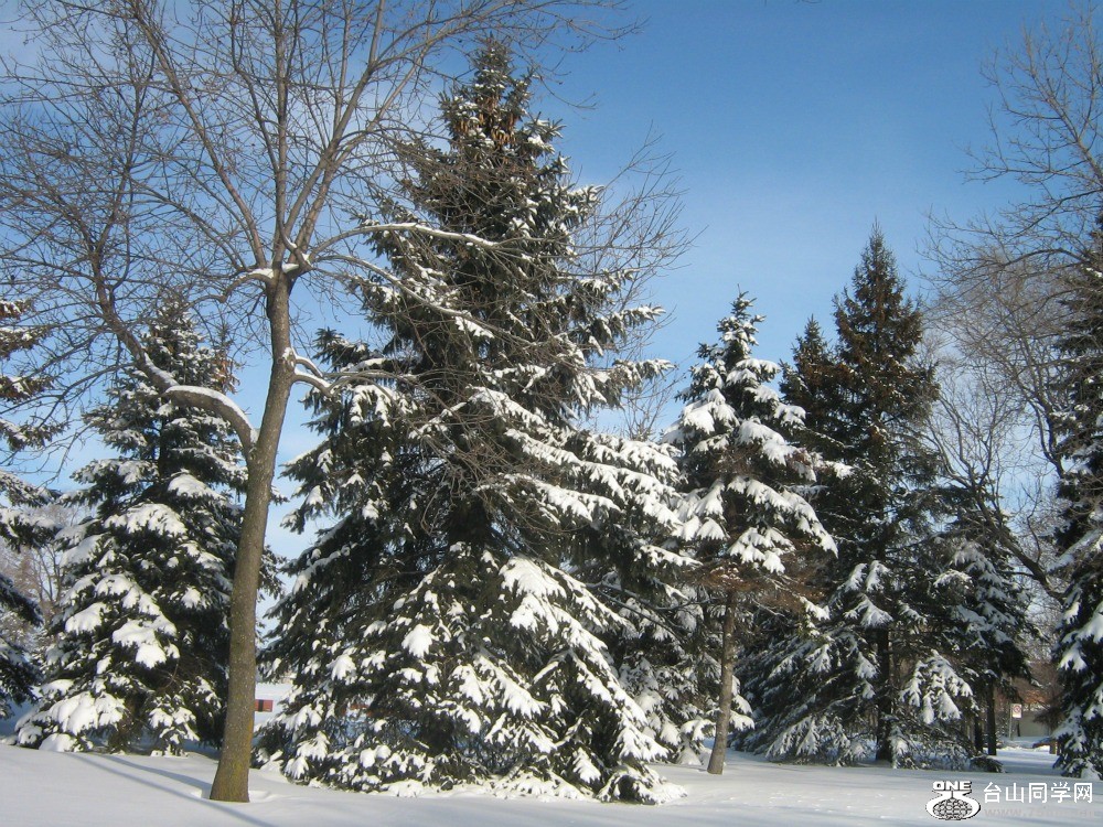 163.jpg