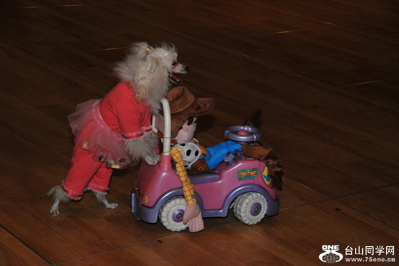DSC_0977_.jpg