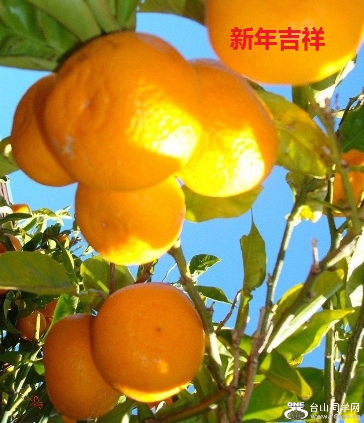 DSC00867-d1.jpg