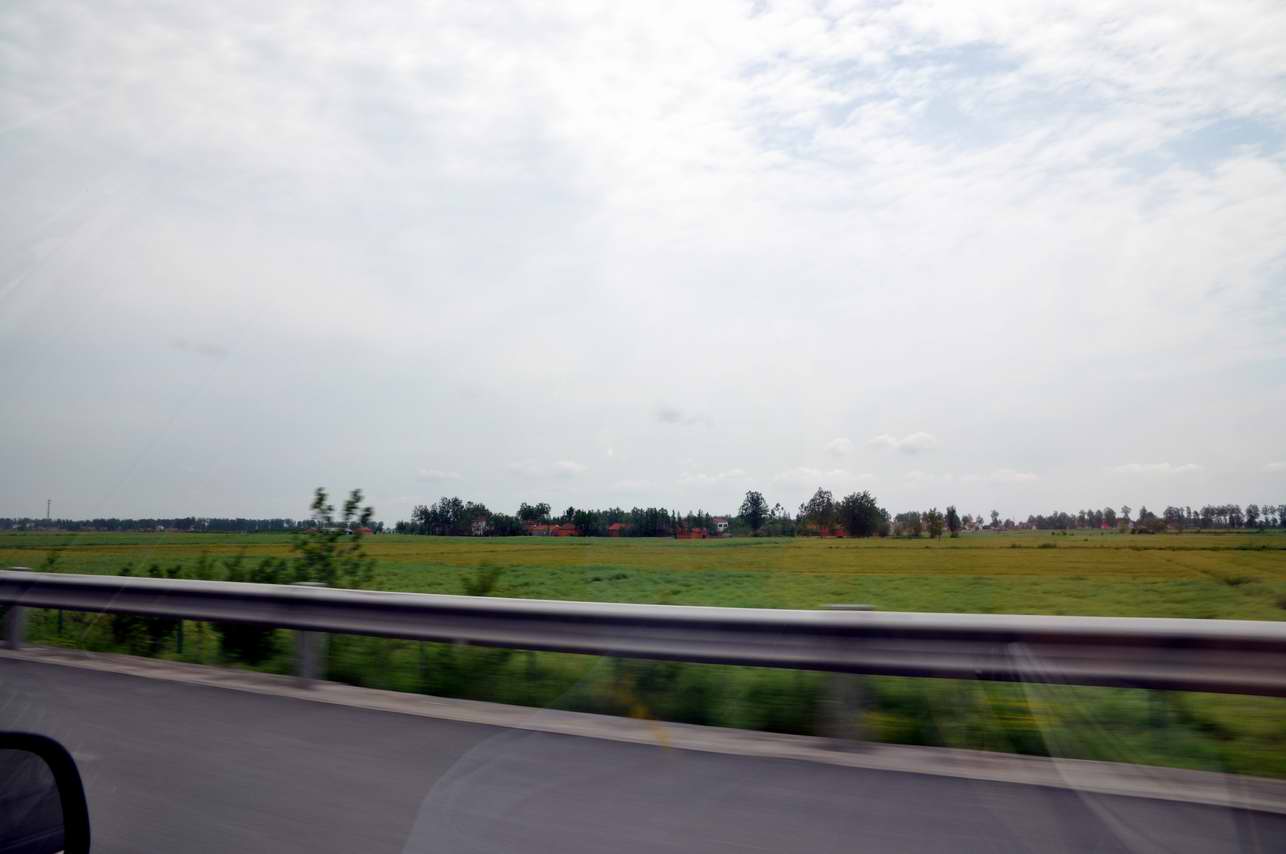 DSC_0216.jpg