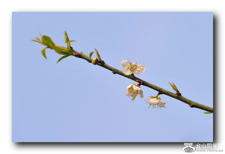 Ƭ 07711.jpg