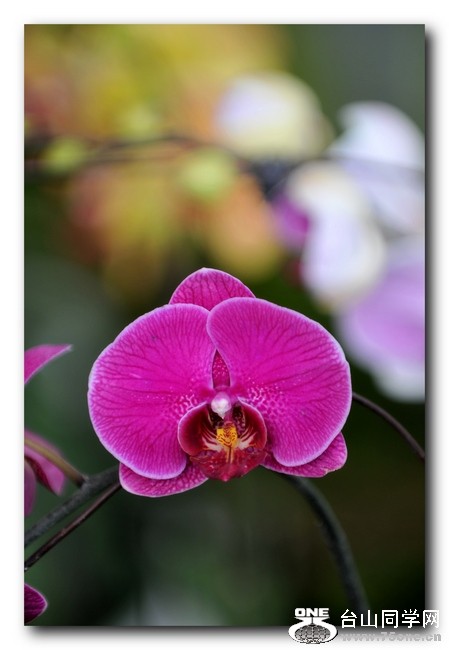Ƭ 0181.jpg