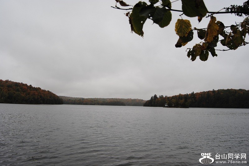 DSC_7908.JPG