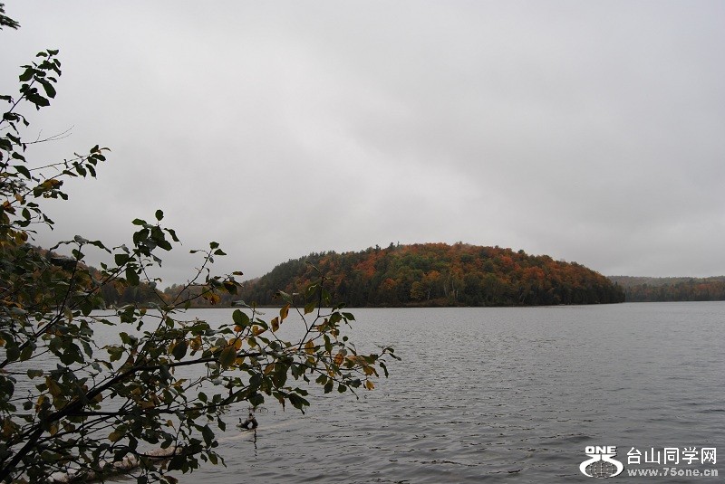 DSC_7909.JPG