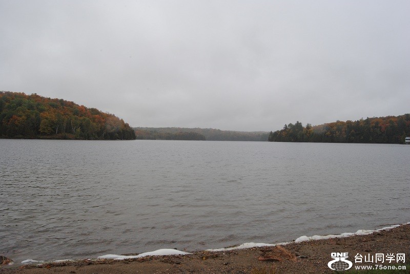 DSC_7878.JPG