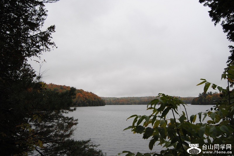 DSC_7983.JPG