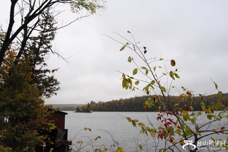 DSC_7924.JPG