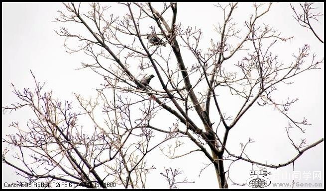 ������С IMG_0606.JPG