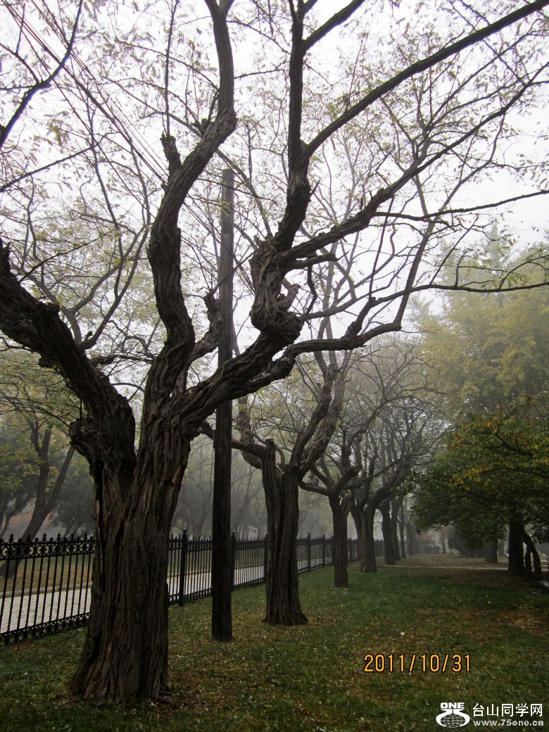 ɽ�������� 848_conew1.jpg