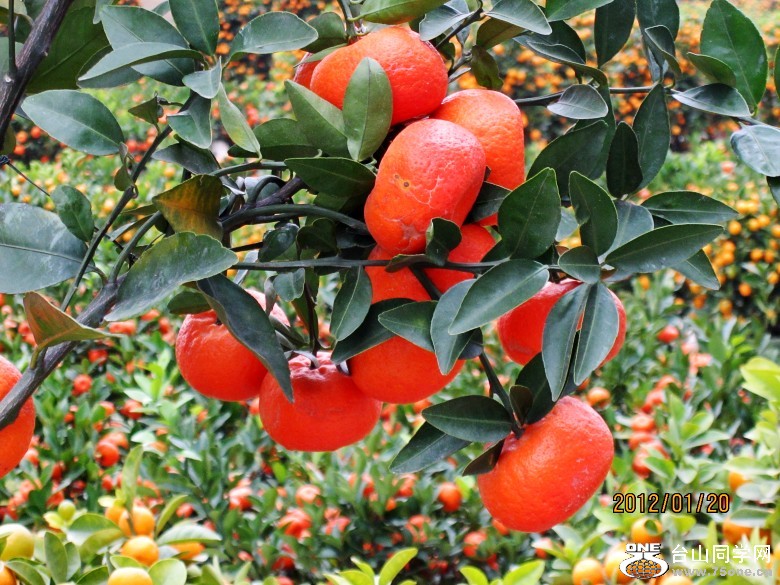 껨λ 176_conew1.jpg