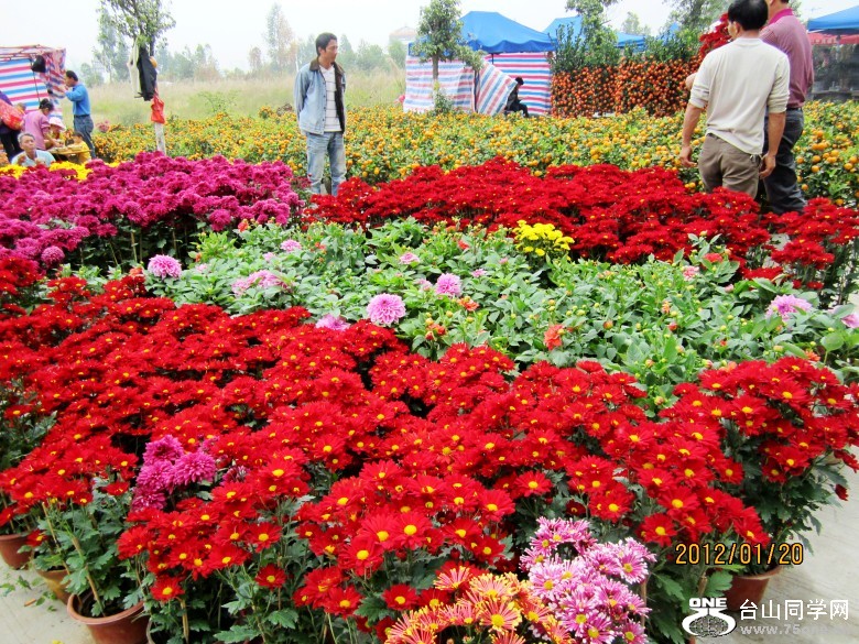 껨λ 113_conew1.jpg