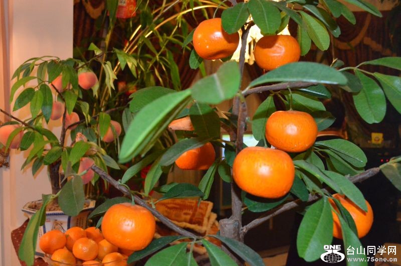 2012new yeas 092.jpg