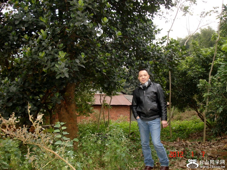 19.jpg