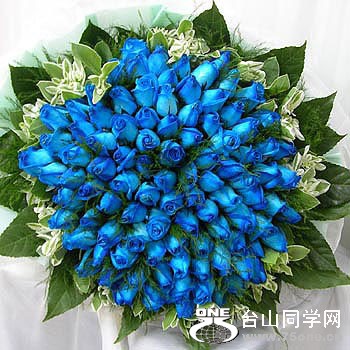 buy-flower-c3051.jpg