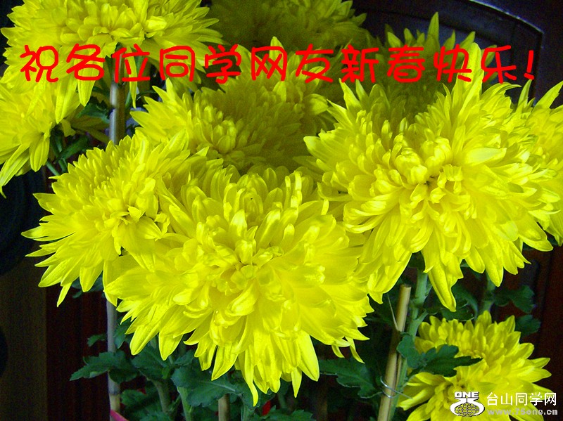 HPIM9187_.jpg