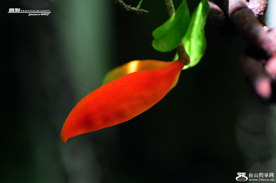 DSC_5122.JPG