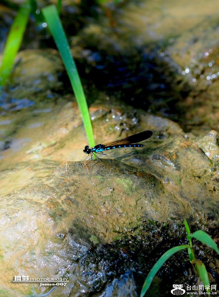 DSC_5923 .jpg