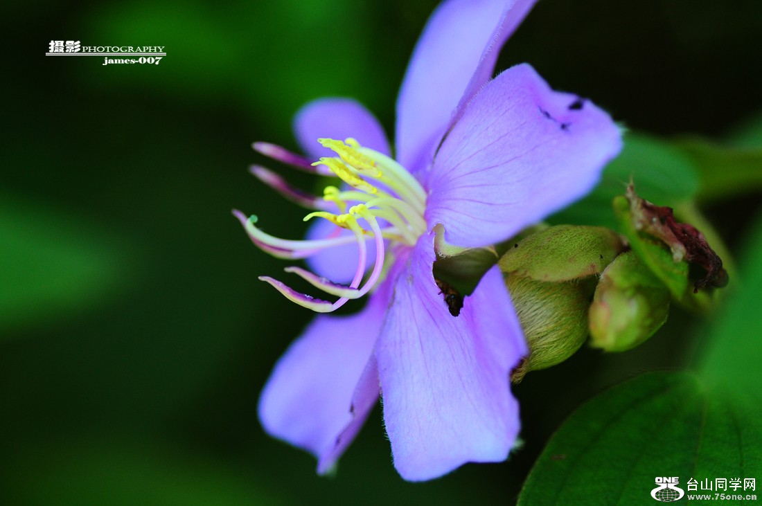 DSC_5709.JPG
