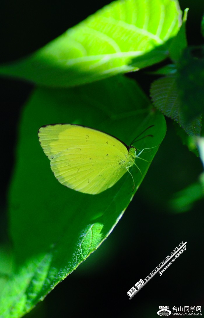 DSC_5834.JPG