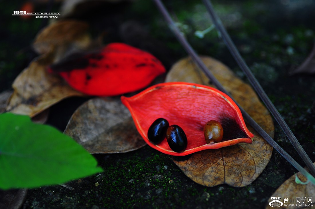 DSC_5109.JPG