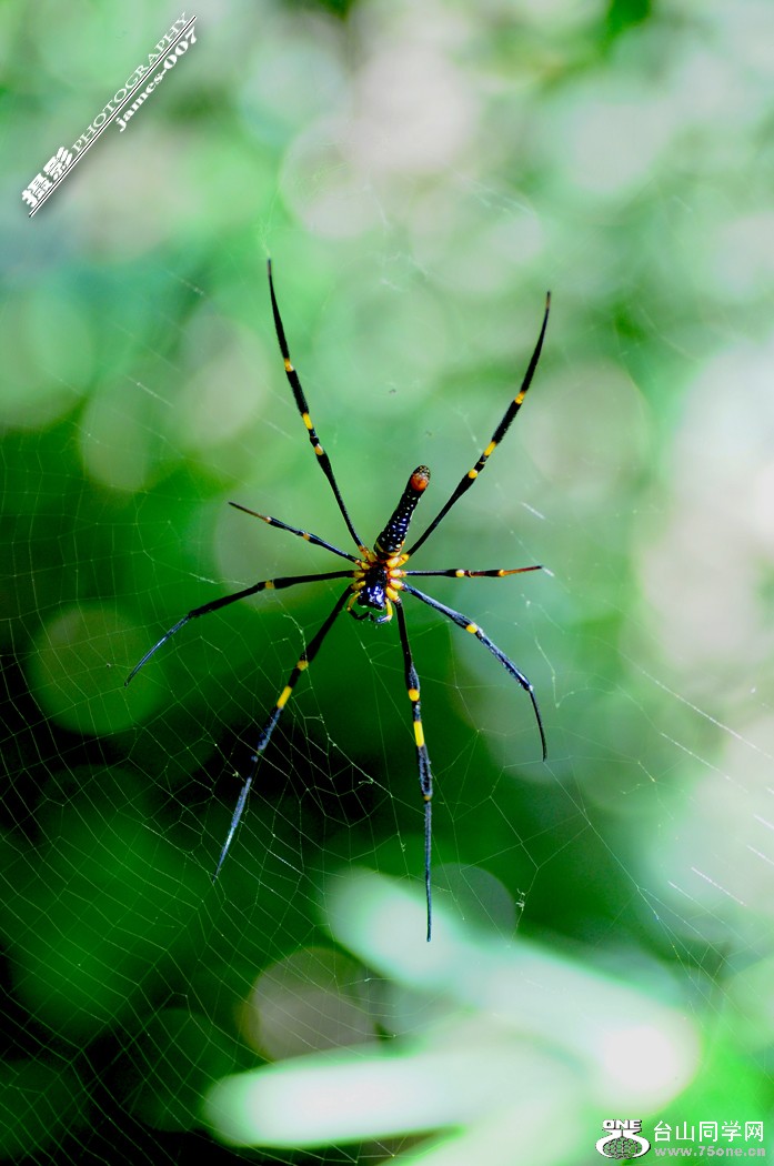 DSC_5820.JPG