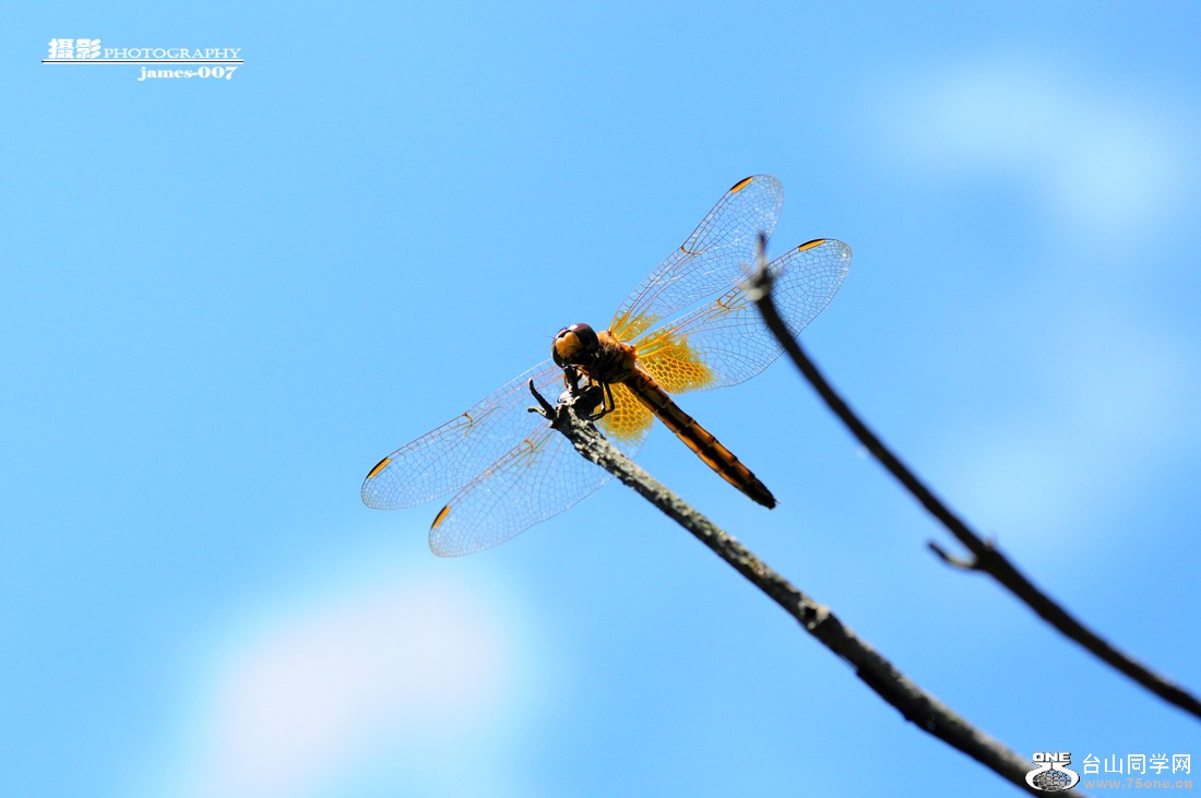DSC_5767.JPG