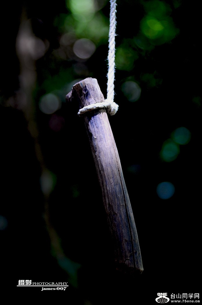 DSC_5014.JPG
