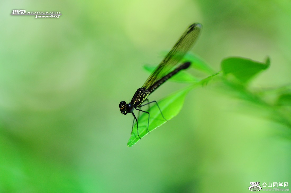 DSC_5861.JPG