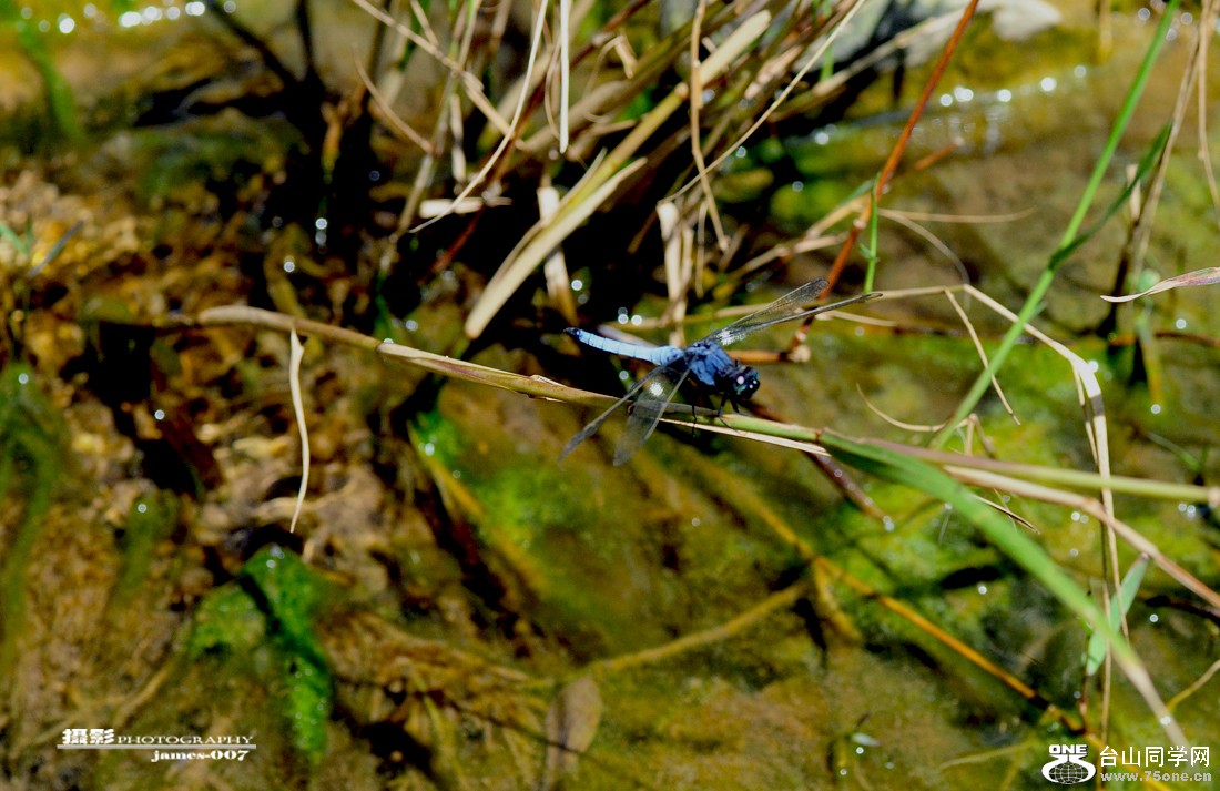 DSC_5669.JPG