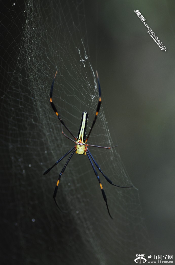 DSC_5091.JPG