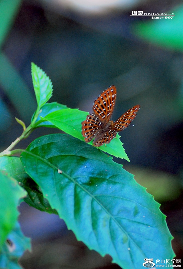 DSC_5807.JPG