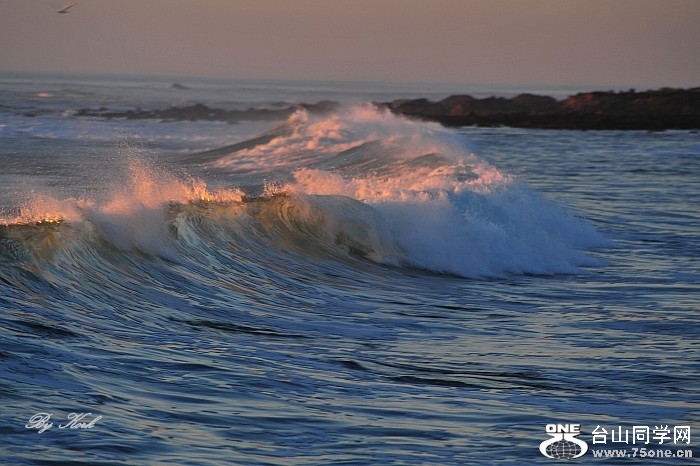 DSC_0358_conew1.jpg