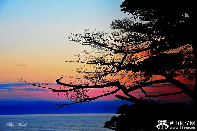 DSC_8037_conew1.jpg