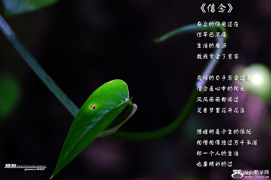 DSC_5181 .jpg