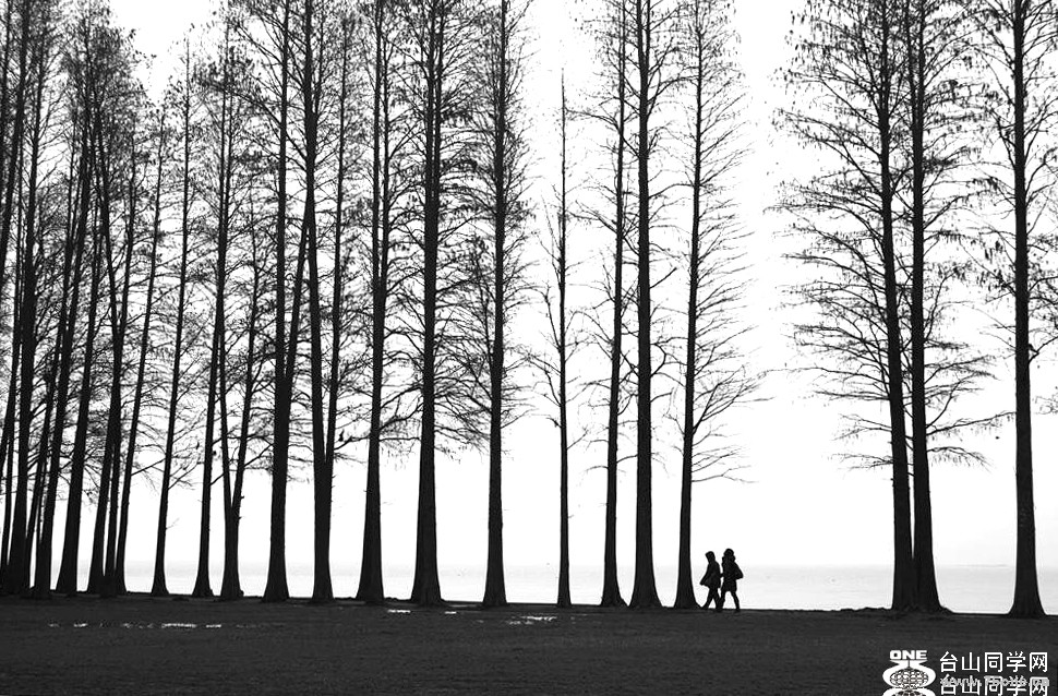 82_3987_a6a7ecb7cc1ef81[1].jpg
