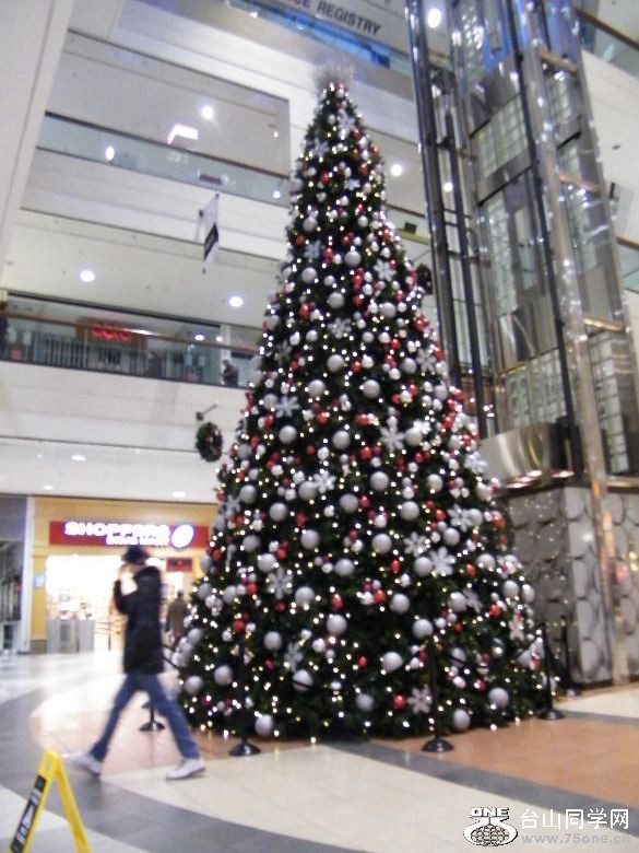 DSCF0952.JPG