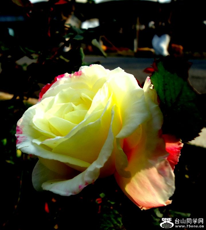 DSC01701.JPG