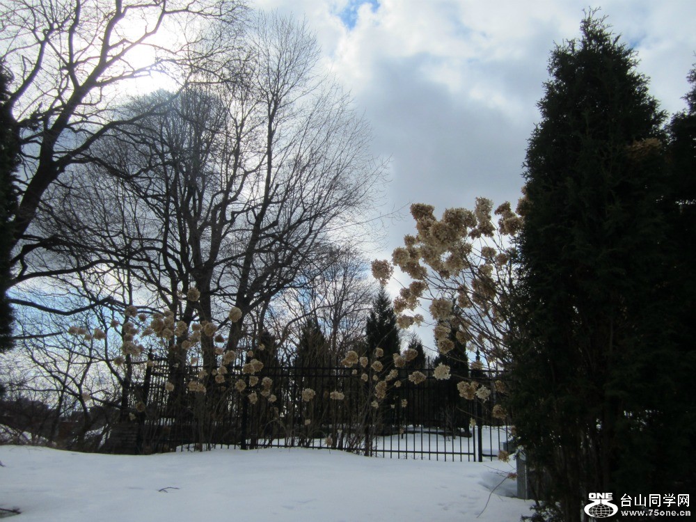 195.jpg