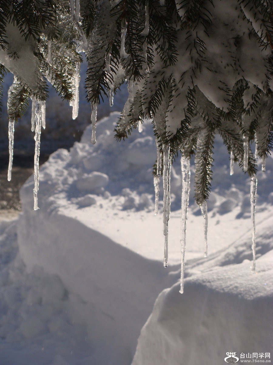 sapin_a_la_glace_by_hishimy-d3b7bnz.jpg