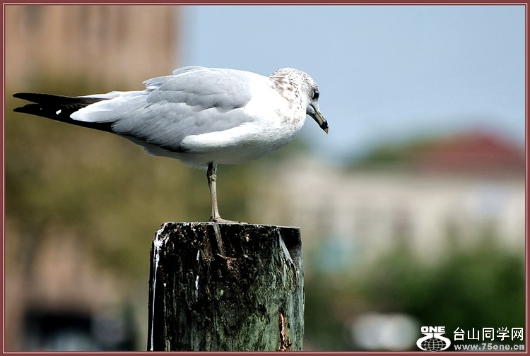 dsc_6473.jpg