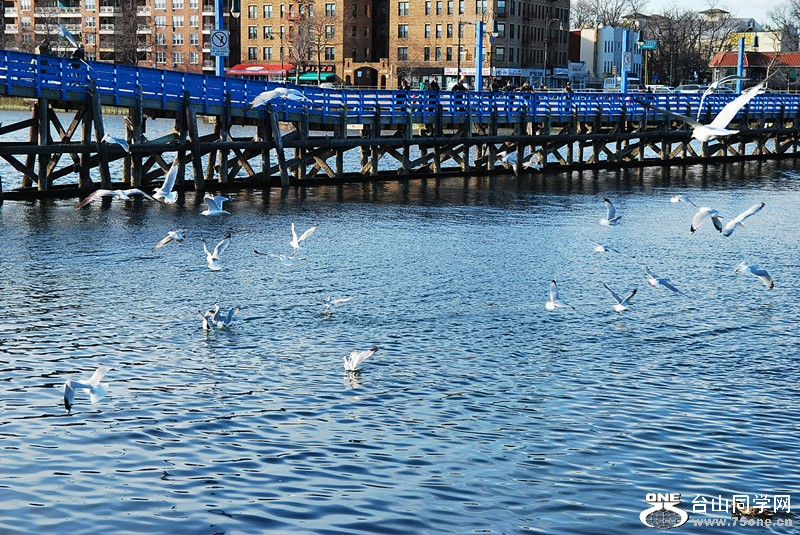 DSC_0275_.jpg